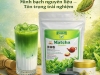 Uống Matcha Ở Đâu Ngon Tại Tân Phú? Gợi Ý Pony’s Coffee & Tea